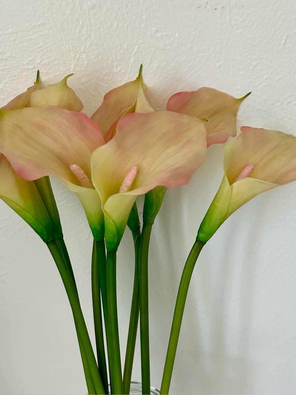 EUC - REAL TOUCH CREAM/PINK CALLA LILY FLOWER  – 8 STEMS 18” Tall